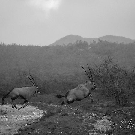 Wildehondekloof Game Lodge Matjiesrivier  Esterno foto