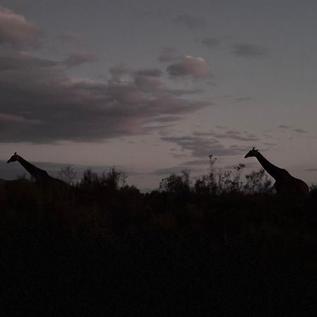 Wildehondekloof Game Lodge Matjiesrivier  Esterno foto