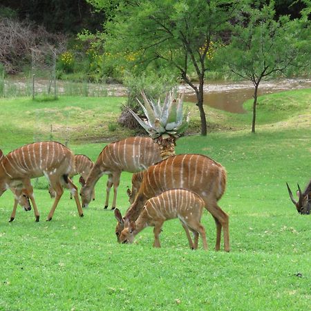 Wildehondekloof Game Lodge Matjiesrivier  Esterno foto