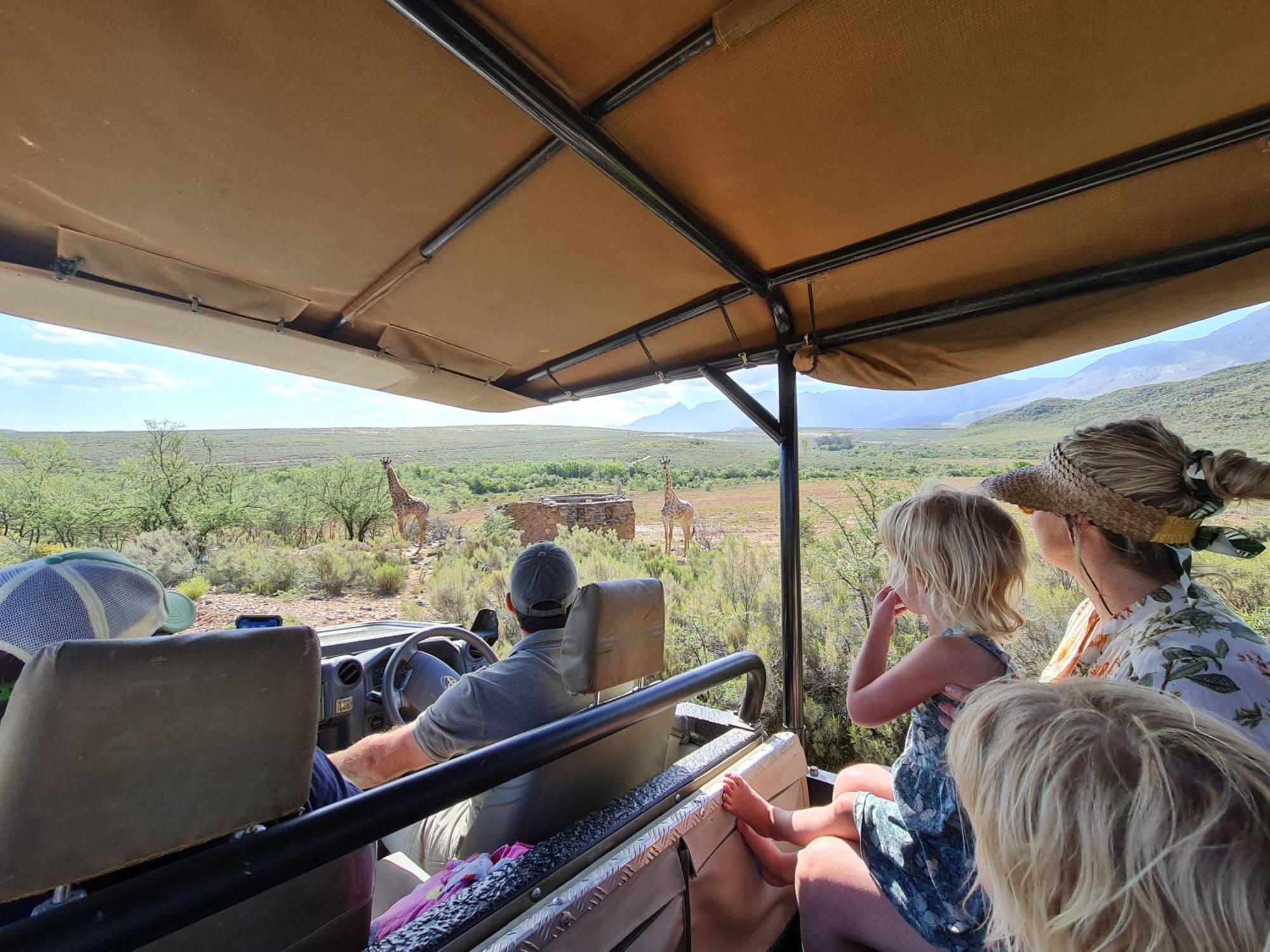Wildehondekloof Game Lodge Matjiesrivier  Esterno foto