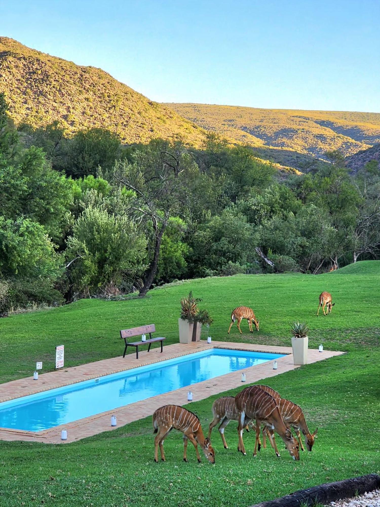 Wildehondekloof Game Lodge Matjiesrivier  Esterno foto